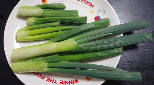 長ネギ