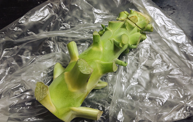 ブロッコリーの茎